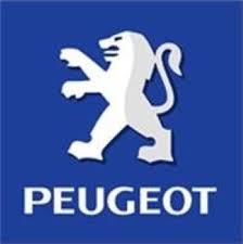 peugeot 1007 ecu